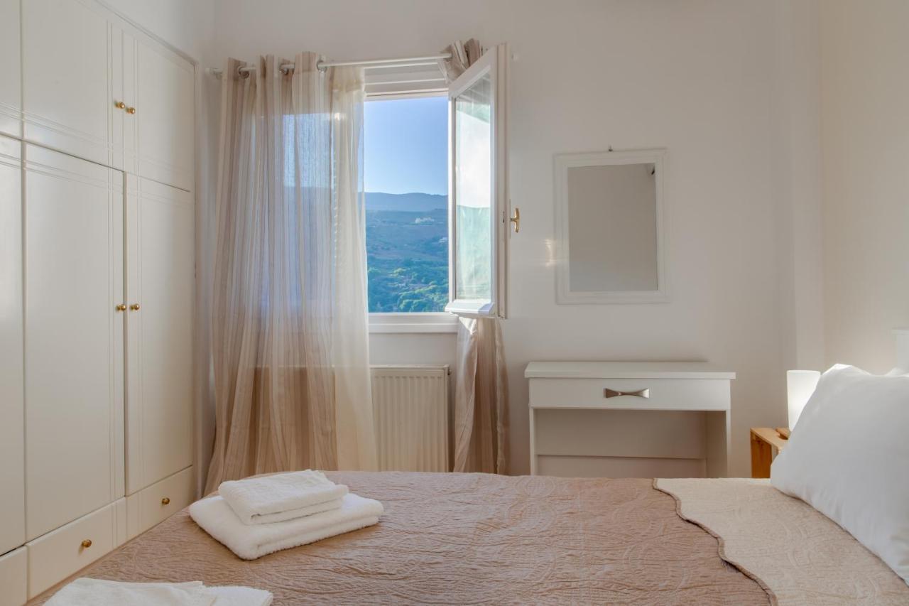 Appartement Eleni'S Seaview House à Ándros Extérieur photo